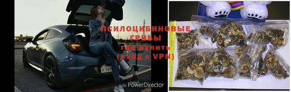 герыч Абинск
